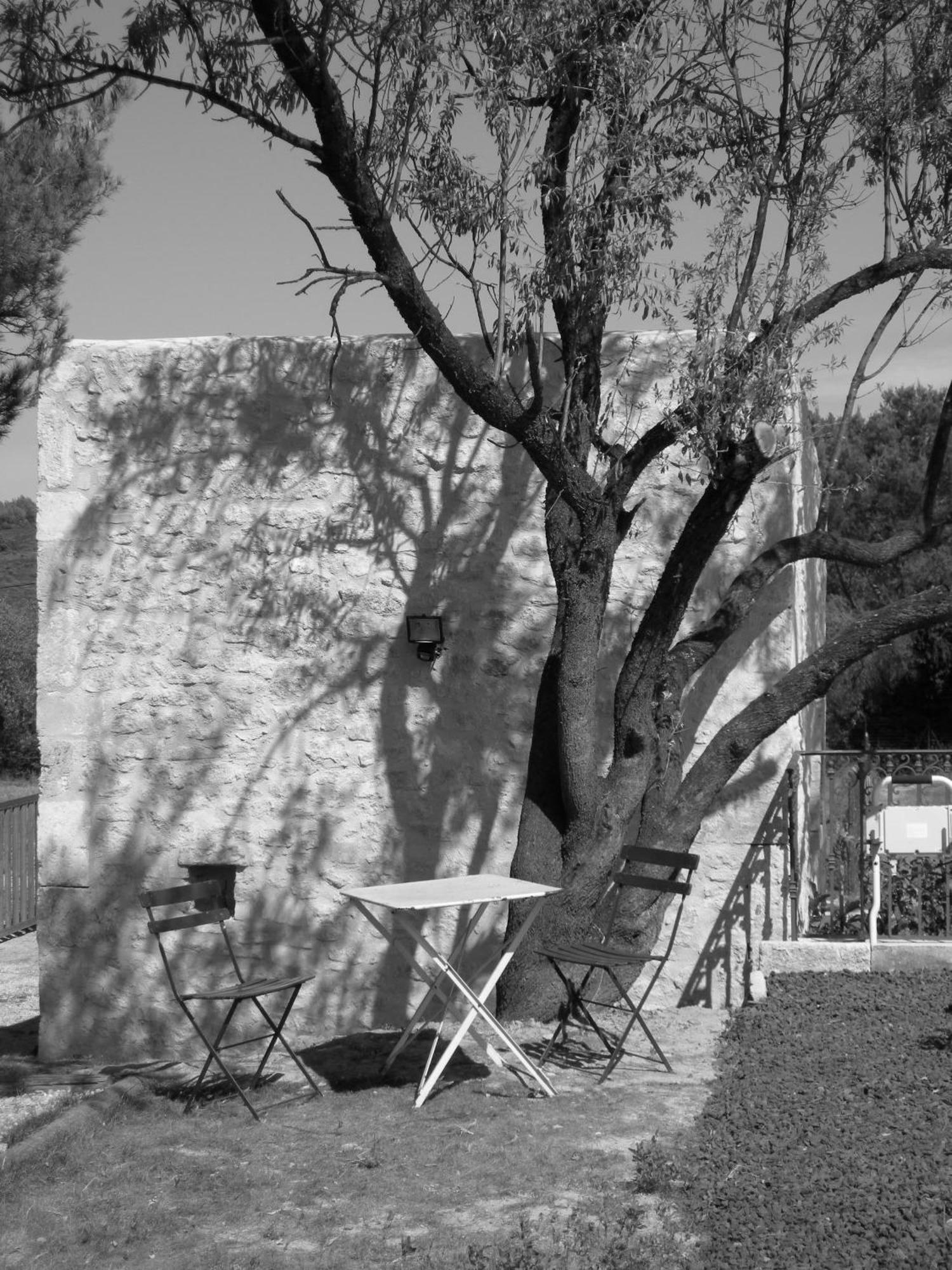 Le Mazet De La Dame Bed and Breakfast Barbentane Exteriör bild